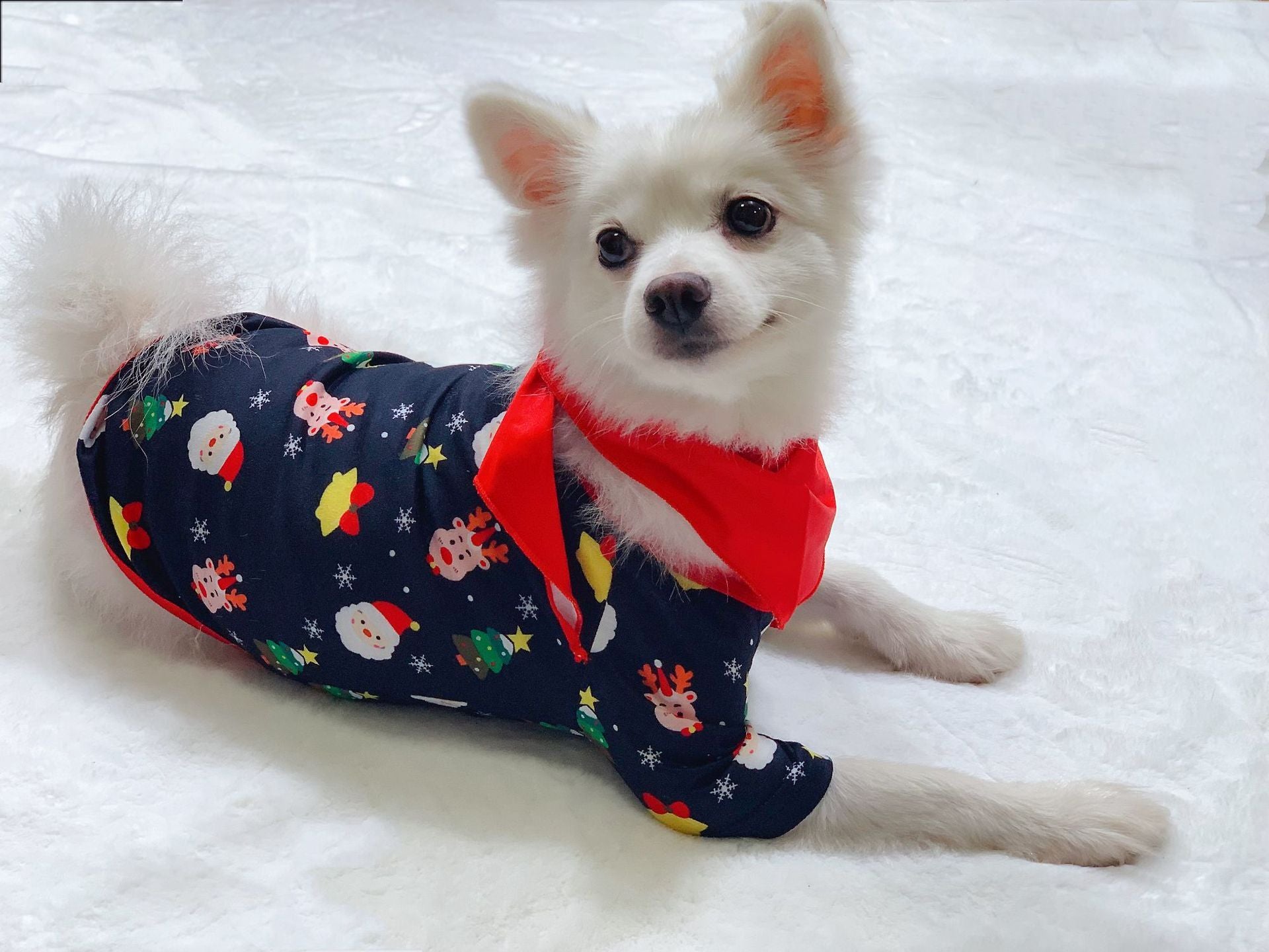 Matching Family Christmas Pajamas – Cozy Holiday Sleepwear PJS Set
