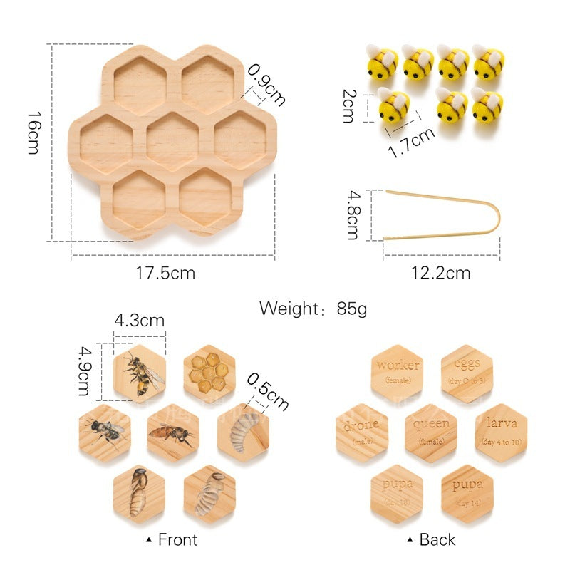 Wooden Bee Learning Toy – Montessori Hand-Eye Training for Kids